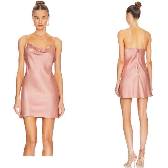 New! ALICE + OLIVIA Harmony Mini Slip Dress  in Burnt Rose 💕 size 6 NWT! - Picture 1 of 12